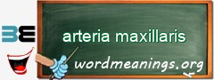 WordMeaning blackboard for arteria maxillaris
